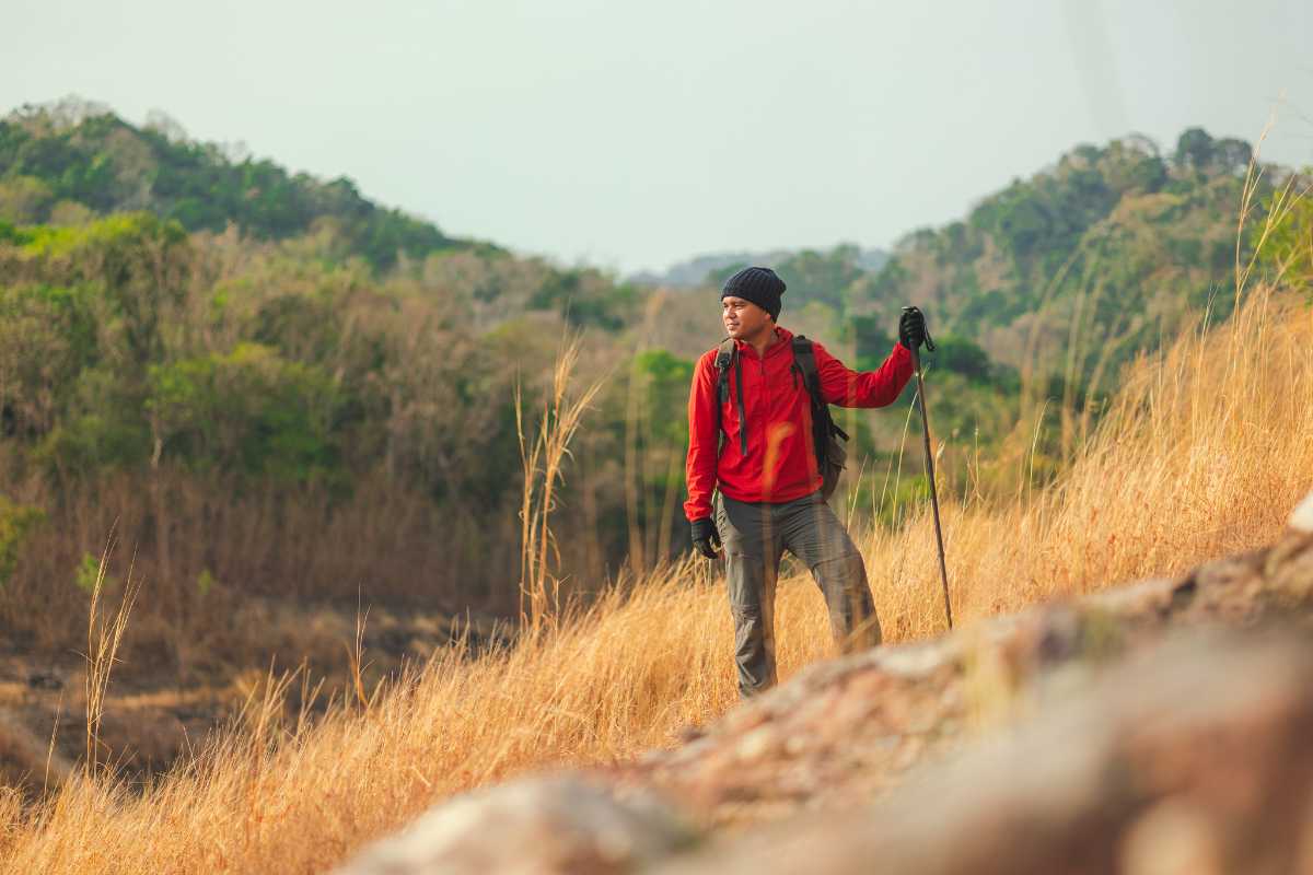 Panorama di Pesaro con il mare e le colline circostanti