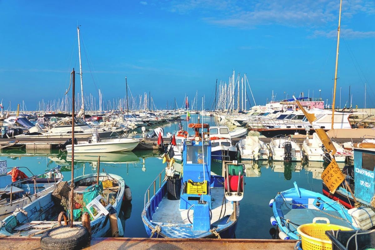 Scorcio del porto di San Benedetto del Tronto con pescherecci e il lungomare sullo sfondo